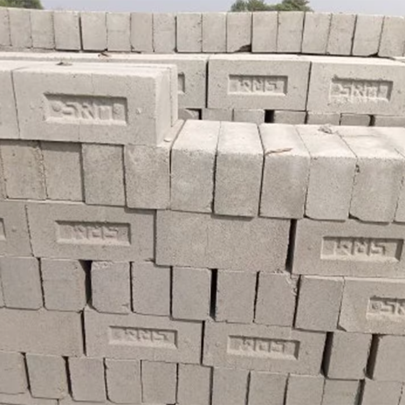 flyash bricks 12